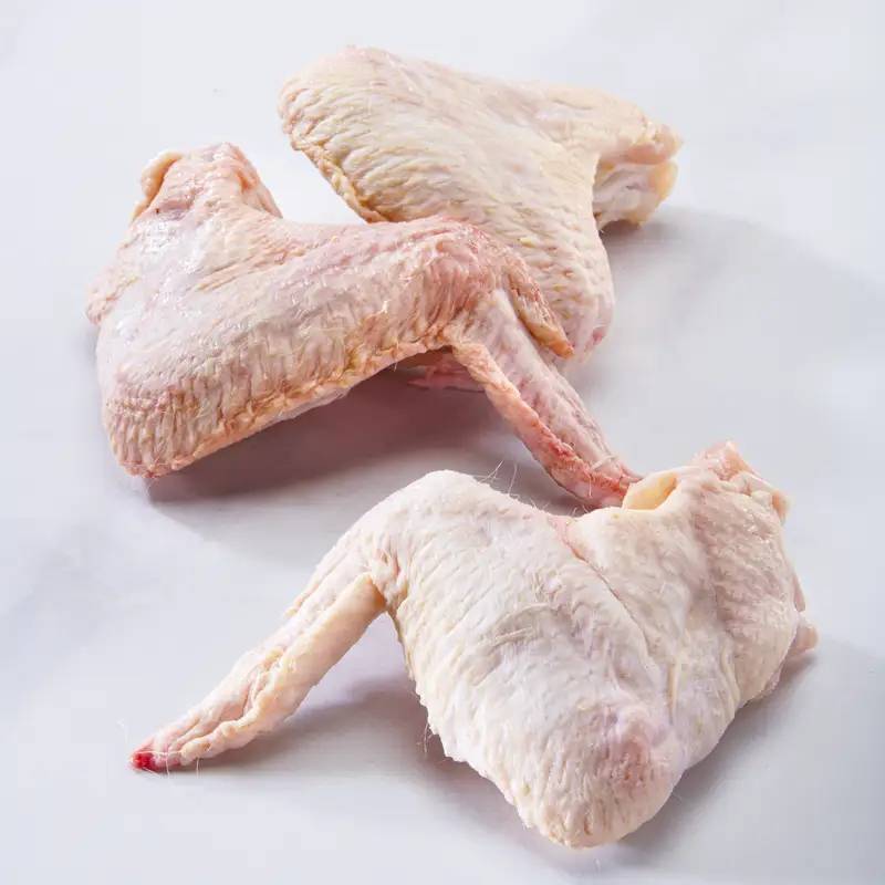 ALI DI POLLO